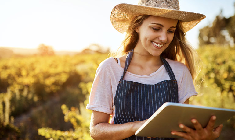 Como otimizar as despesas na produção agrícola?